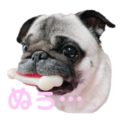 [LINEスタンプ] ぱぐのはるちゃん そのいち