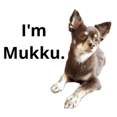 I'm Mukku
