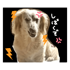 [LINEスタンプ] Johnkunn
