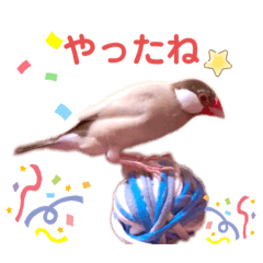 [LINEスタンプ] 文鳥ズ②