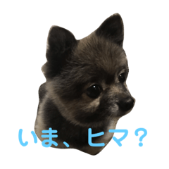 [LINEスタンプ] くぅーとゆきのスタンプ②