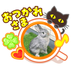 [LINEスタンプ] ウサギスタンプ1