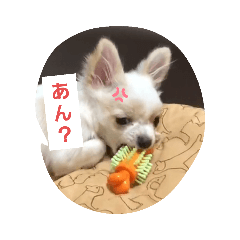 [LINEスタンプ] ちー汰すたんぷ 2