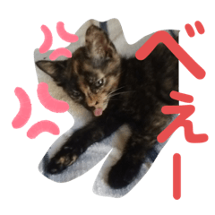 [LINEスタンプ] サビ猫の茶々さま