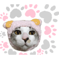 [LINEスタンプ] ねこのギンとトラ