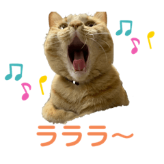 [LINEスタンプ] ヒロスタンプ(たまにいち)