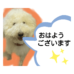 [LINEスタンプ] 日常ワンちゃん(キキ)
