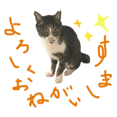[LINEスタンプ] マスクと一緒