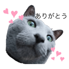 [LINEスタンプ] ペコといっしょ