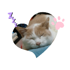 [LINEスタンプ] Shuunao