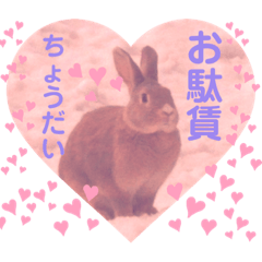 [LINEスタンプ] うさぎのハル♡2