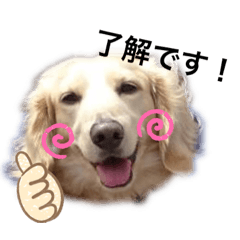 [LINEスタンプ] ルビーといっしょ