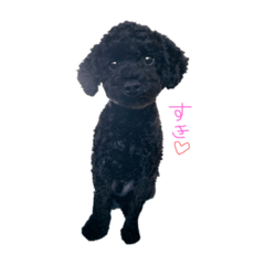 [LINEスタンプ] じぇいびー