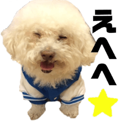 [LINEスタンプ] わーーーんこ