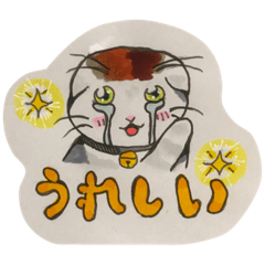 [LINEスタンプ] スコティッシュのみいこ