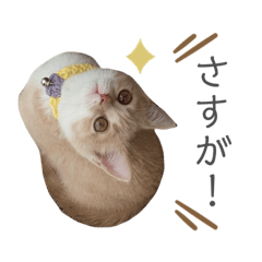 [LINEスタンプ] ゆるりんおまめ
