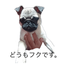 [LINEスタンプ] プクプク福蔵
