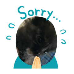 [LINEスタンプ] 猫ちゃんたちの挨拶