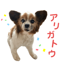 [LINEスタンプ] マツイクゥ スタンプ