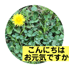 [LINEスタンプ] グリーングリーンな日々