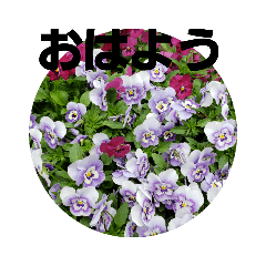 [LINEスタンプ] お花にコメント