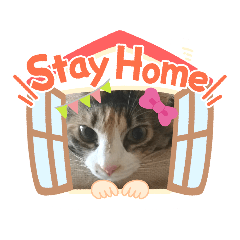 [LINEスタンプ] みかんDay