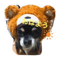[LINEスタンプ] うちのベア。