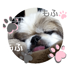 [LINEスタンプ] ペキmixはるLove