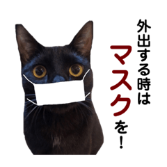 [LINEスタンプ] ニラとクーの日常スタンプ