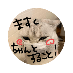 [LINEスタンプ] よく使う言葉さん。