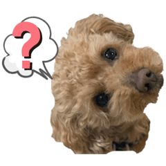 [LINEスタンプ] 寅スタンプpart1