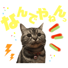 [LINEスタンプ] オイラ、中野リオ！！！！