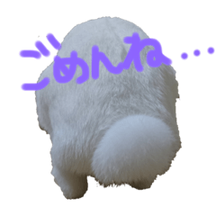 [LINEスタンプ] ぴょんちゃん001