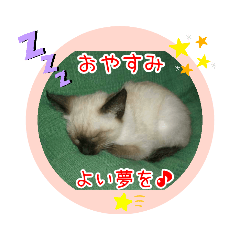 [LINEスタンプ] るーだますたんぷ