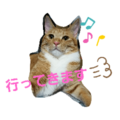 [LINEスタンプ] マロン＆ノエル2号