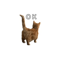 [LINEスタンプ] 虎太郎・ちゃちゃ・米