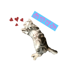 [LINEスタンプ] 子猫のルーくん