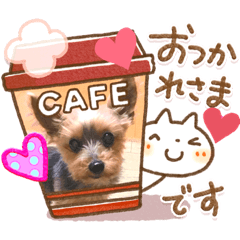 [LINEスタンプ] 我が家の三姉妹ヨーキーデコフレーム