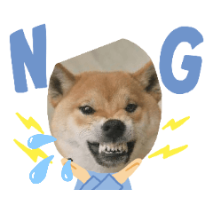 [LINEスタンプ] ちょっとかわいい犬