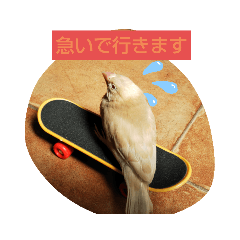 [LINEスタンプ] フィンチ戦隊ブンチョウジャー