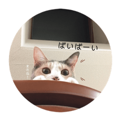 [LINEスタンプ] のんびりムギちゃん