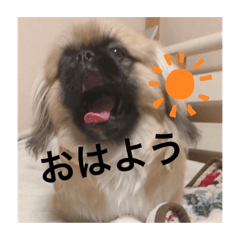 [LINEスタンプ] チャイくんのスタンプ②