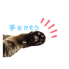 [LINEスタンプ] よちよちよりちゃん