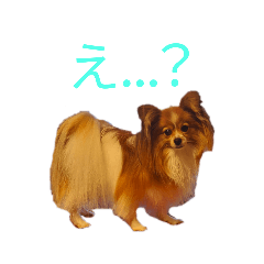 [LINEスタンプ] チョコ太の気持ち第1弾