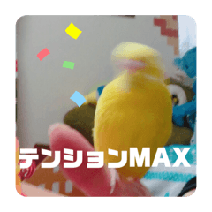 [LINEスタンプ] コマちゃんですけど。
