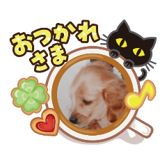 [LINEスタンプ] ダックス「みみぃ」