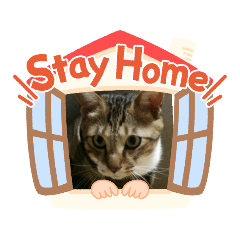 [LINEスタンプ] 虎吉ふくしま