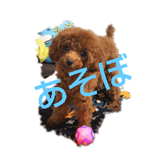 [LINEスタンプ] ららミミ子