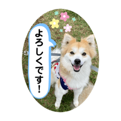[LINEスタンプ] ケイト・郁舞スタンプ