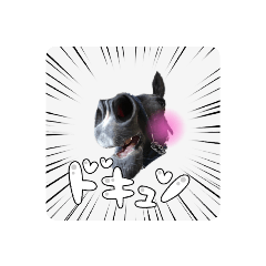 [LINEスタンプ] 馬うますたんぷ